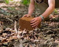 Anilogic CRUSH Apple Block Attractant