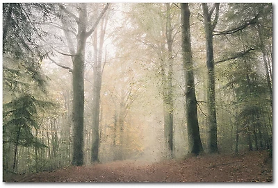 Courtside Market Morning Walk 30 x 40 in. Gallery-Wrapped Canvas