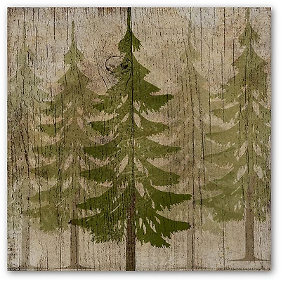 Courtside Market Pine Tree Forest 16 x 16 in. Gallery-Wrapped Canvas