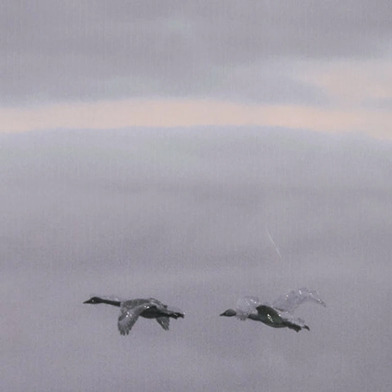 Cool Change by Nancy Crowell Photo Art Print