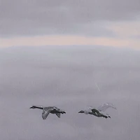 Cool Change by Nancy Crowell Photo Art Print