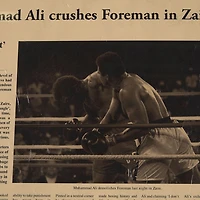 Rumbled In The Jungle! Framed Art Print