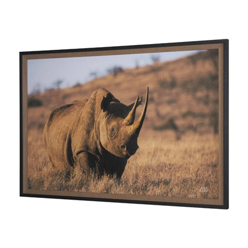 Kenyan Rhino Framed Photo Art Print