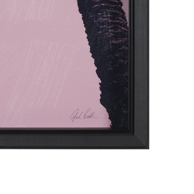 Pink Palms by Deborah Revell Framed Photo Art Print