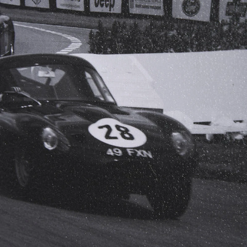 Hand Embellished Framed Photo Art Print Matted under Glass