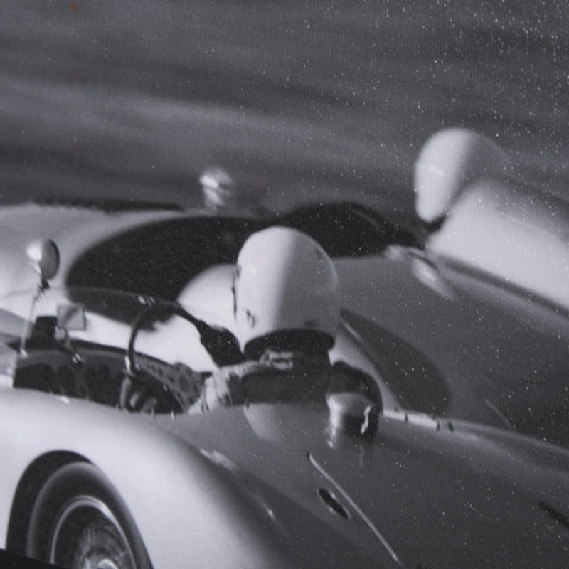 Hand Embellished Framed Photo Art Print Matted under Glass