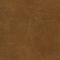 Parker Brown Leather Seat Gold Metal Frame Dining Chair