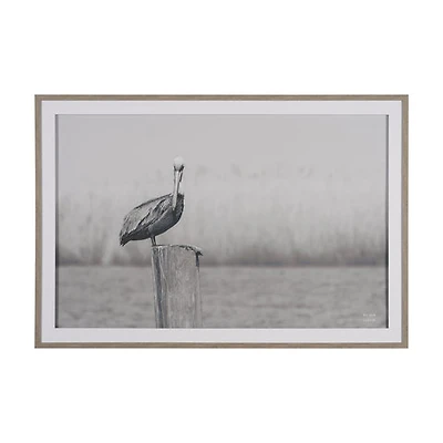 Pelican Stories Framed Art Print