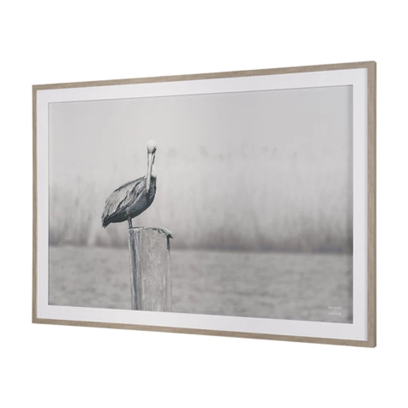 Pelican Stories Framed Art Print