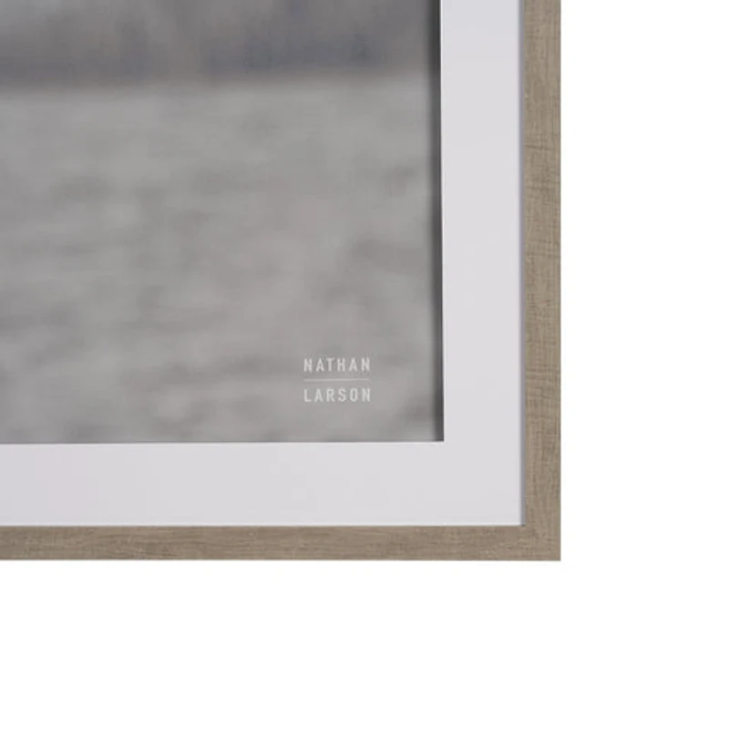 Pelican Stories Framed Art Print