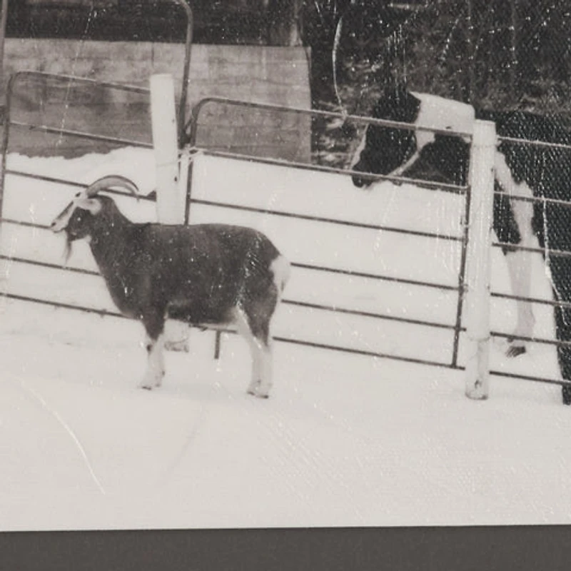 The Farm Textured Framed Art Print