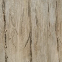 Side by Side Framed Artwork Matted under Glass