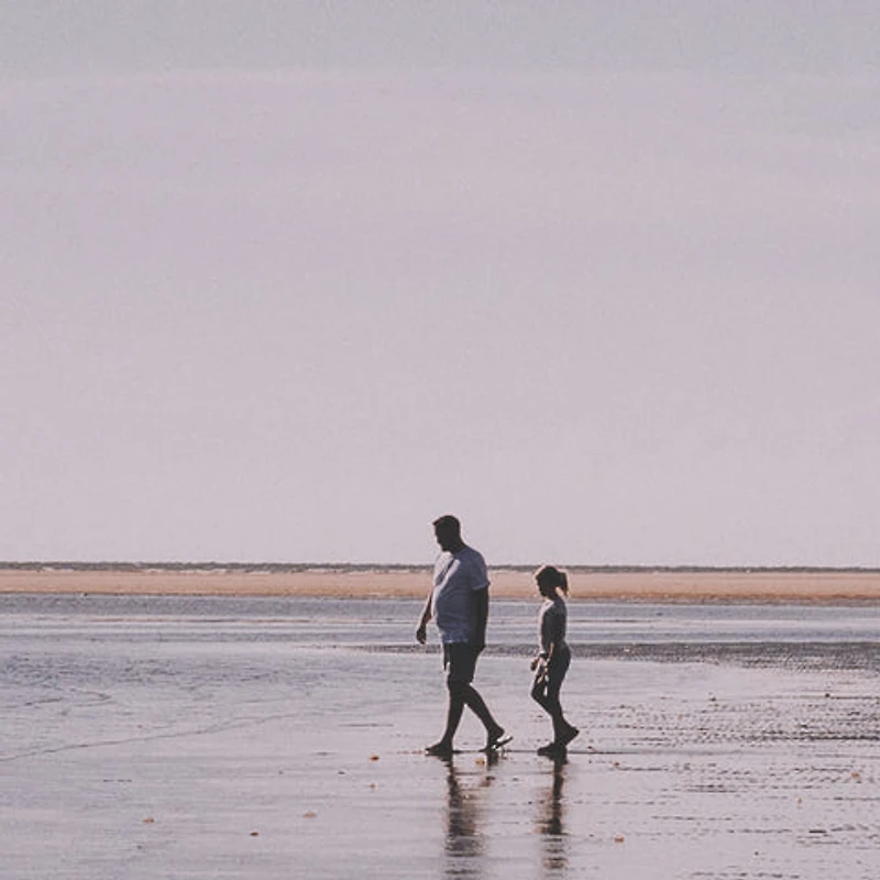 Morning Stroll by Kelly Frere Framed Art Print