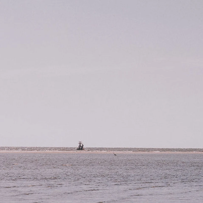 Morning Stroll by Kelly Frere Framed Art Print