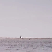 Morning Stroll by Kelly Frere Framed Art Print