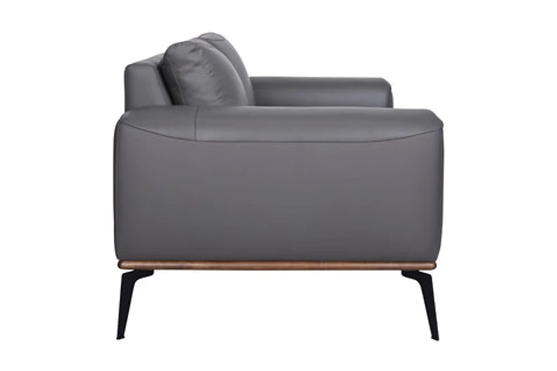 Pietro Genuine Leather Loveseat