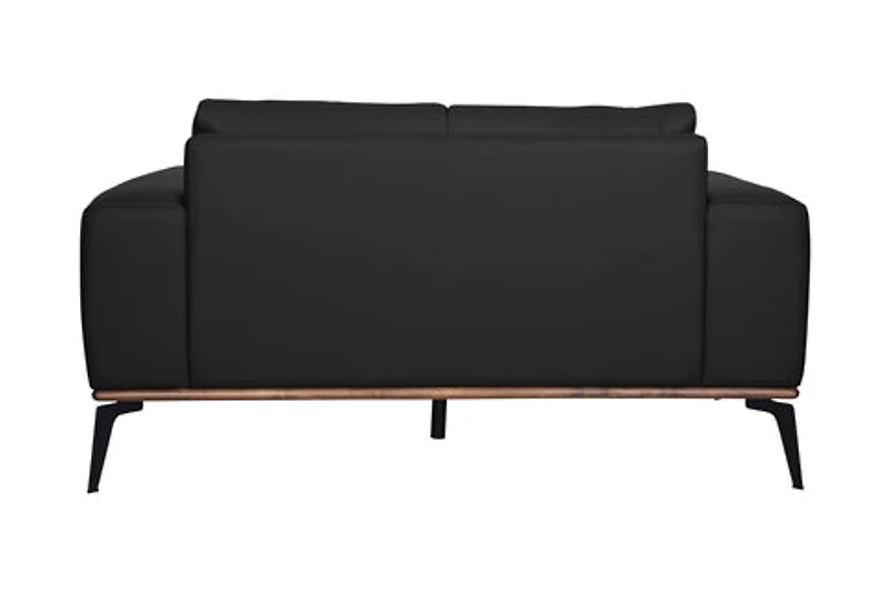 Pietro Genuine Leather Loveseat