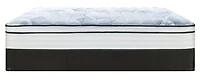Sealy® Essential 720 Bridget 11.5" Mattress