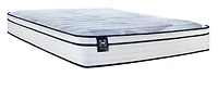 Sealy® Essential 720 Bridget 11.5" Mattress