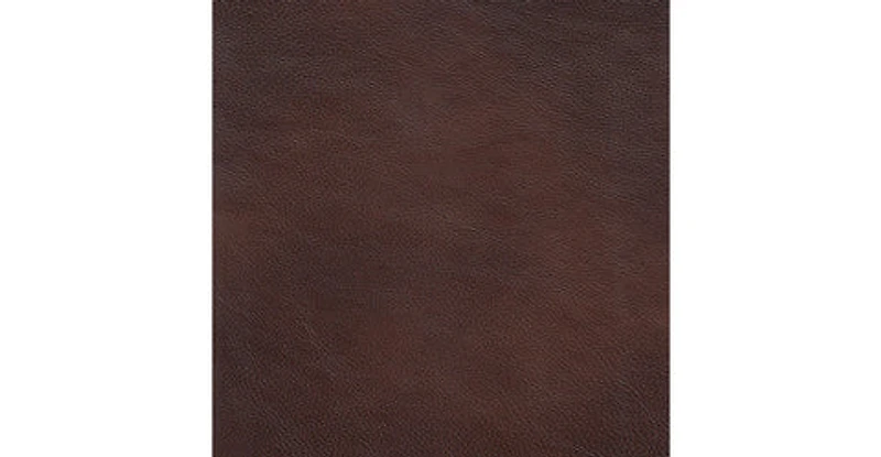 Nolan Genuine Leather Accent Chair