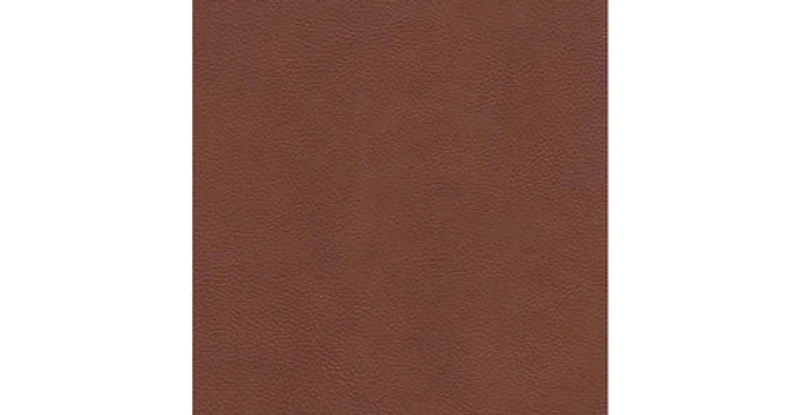 Tallon Genuine Leather Loveseat