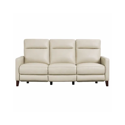 Ashbryn Power Headrest & Lumbar Zero Gravity Reclining Sofa