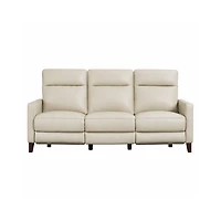 Ashbryn Power Headrest & Lumbar Zero Gravity Reclining Sofa