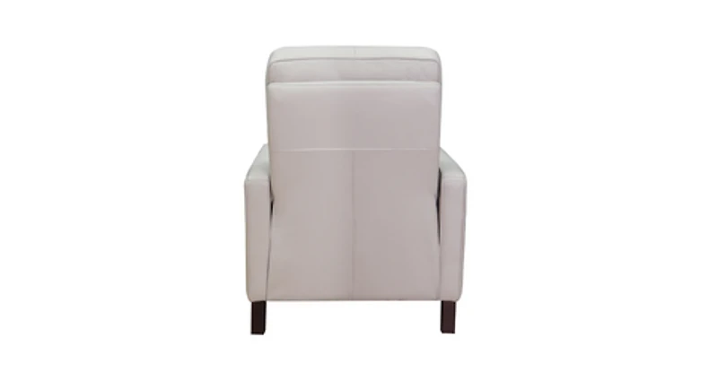 Ashbryn Power Headrest & Lumbar Zero Gravity Recliner