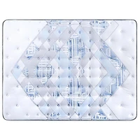 Sealy® Massimo 11.5" Mattress