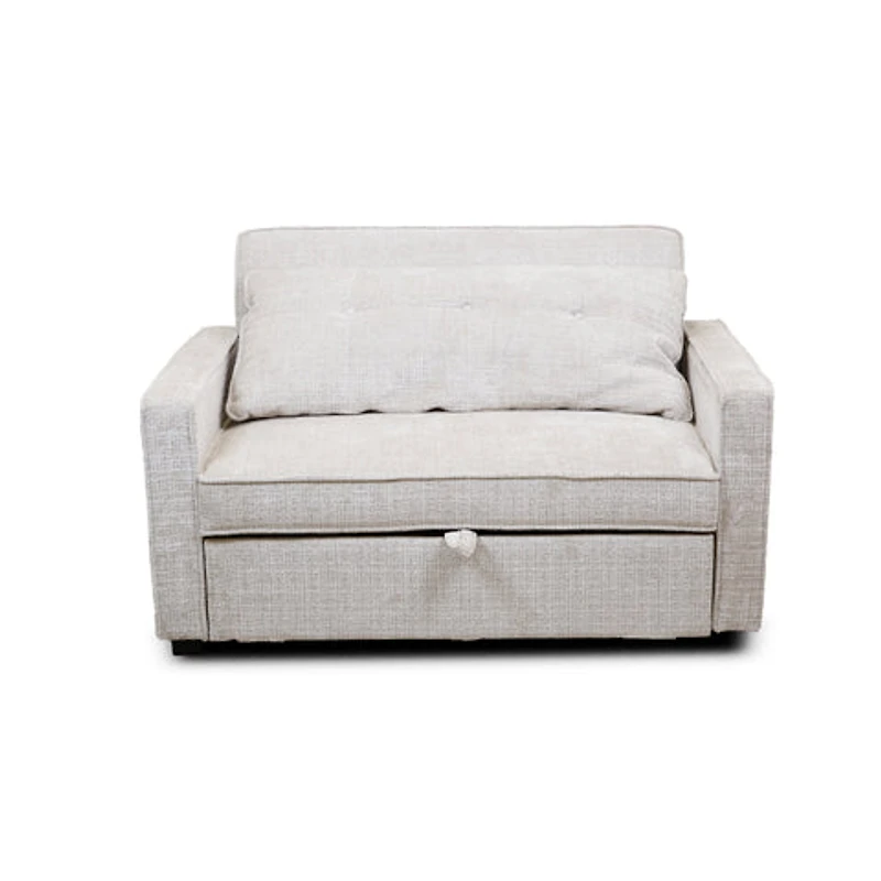 Argyle Pull Out Loveseat Bed