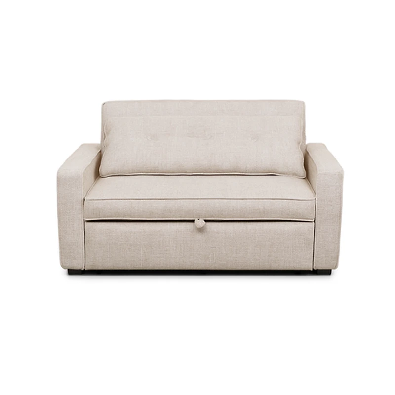 Argyle Pull Out Loveseat Bed