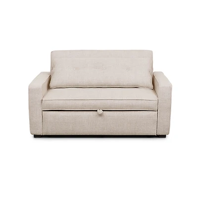 Argyle Pull Out Loveseat Bed