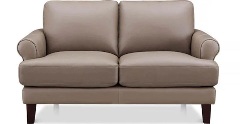 Austra Genuine Leather Loveseat