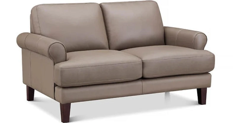 Austra Genuine Leather Loveseat