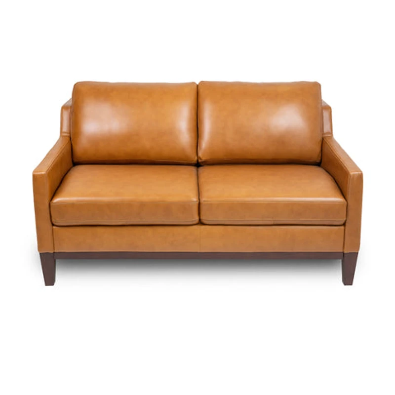 Roba Genuine Leather Loveseat