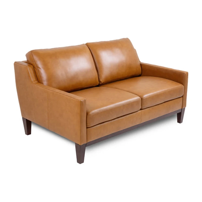 Roba Genuine Leather Loveseat