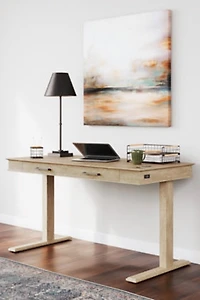Thadamere 54" Home Office Desk