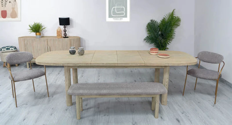 Delora Arm Dining Chair