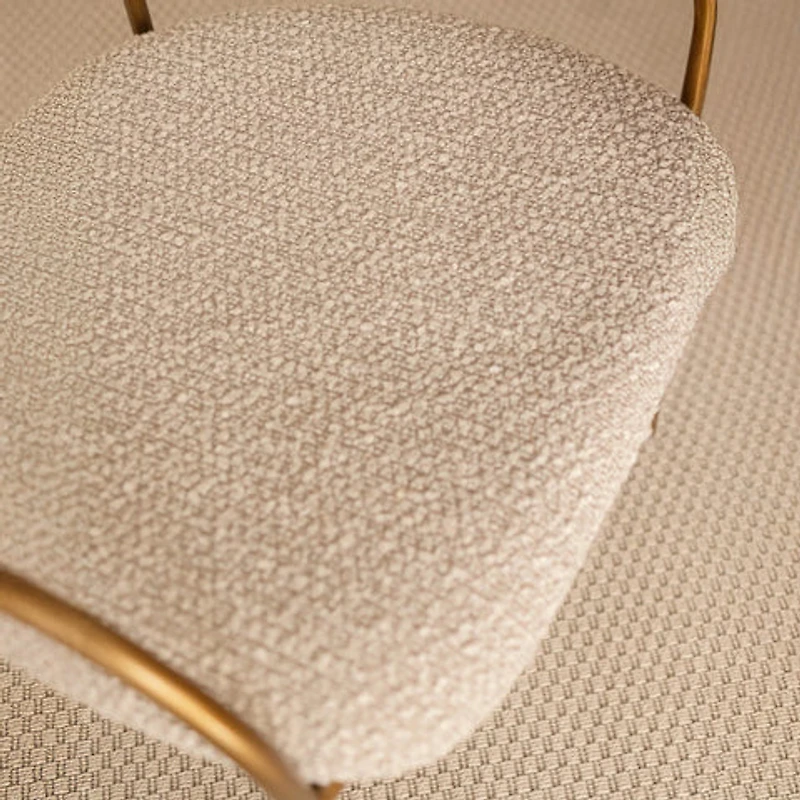 Delora Arm Dining Chair