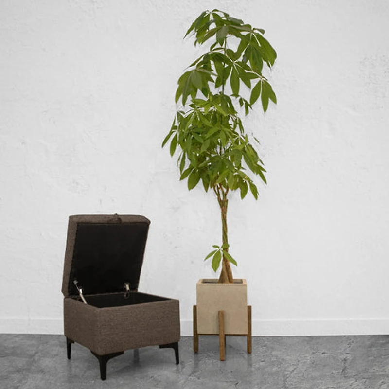 Zerith Square Standing Pot - Natural Stone