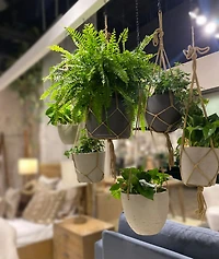 Lorien Hanging Pot With Netting - Charcoal Grey
