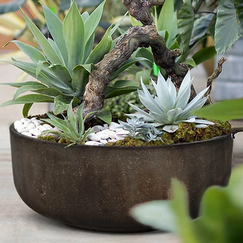 Harlin Bowl - Rustic Brown