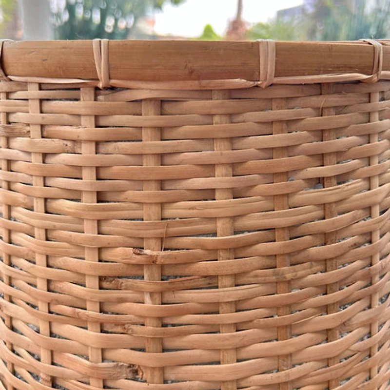 Tarnen Indoor Basket Pot