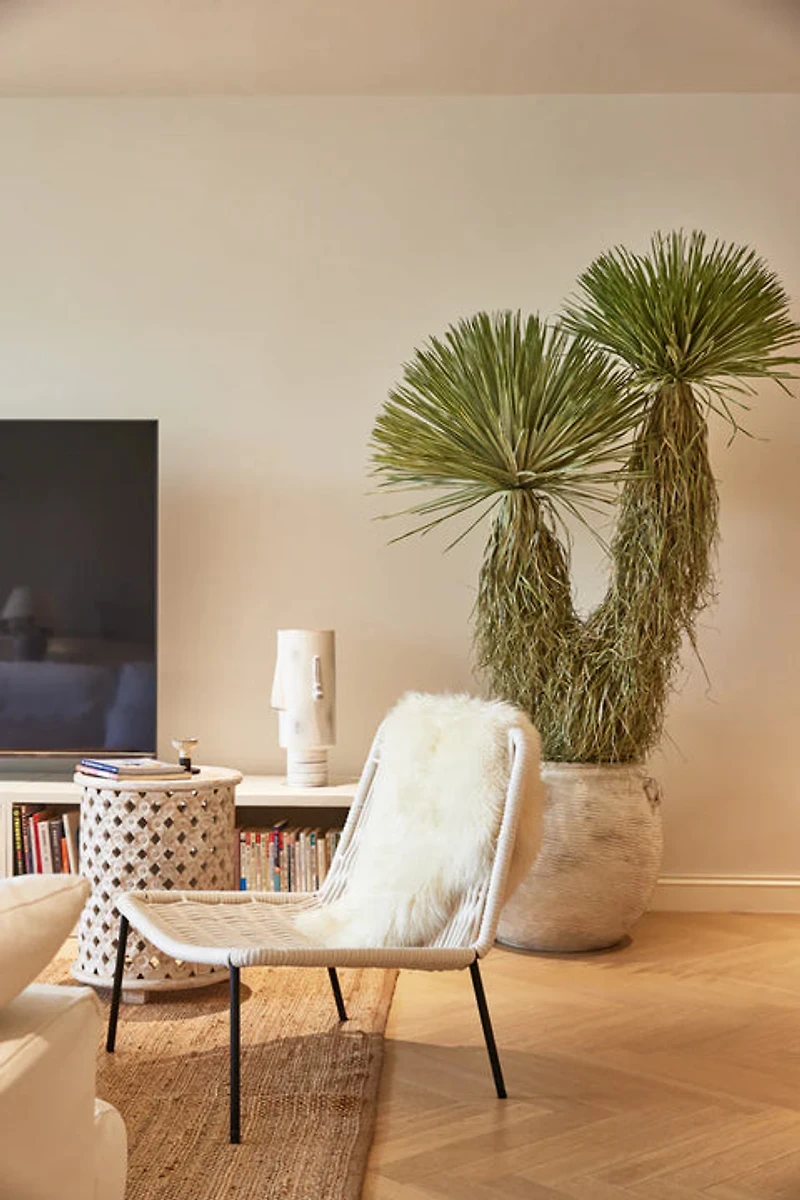 Pendara Side Chair