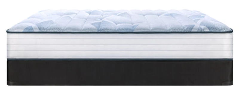 Sealy® Essential 600 Nessa 11" Mattress