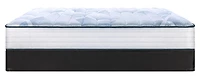 Sealy® Essential 600 Nessa 11" Mattress