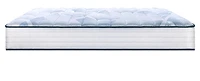 Sealy® Essential 600 Nessa 11" Mattress