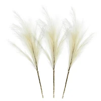 White Pampas Grass