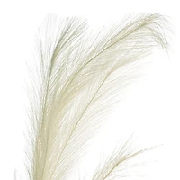 White Pampas Grass