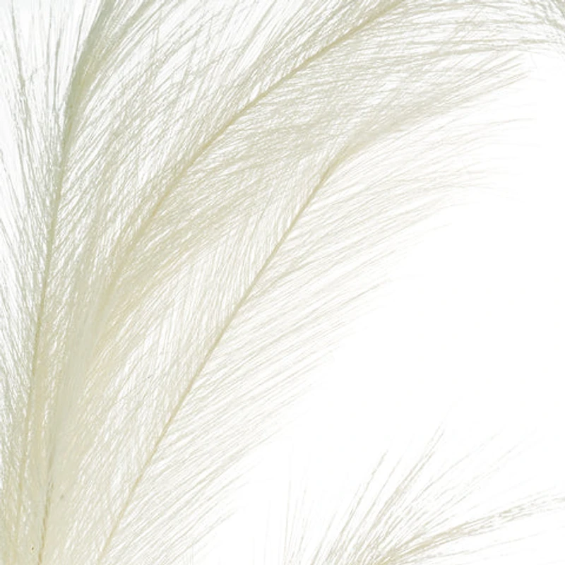 White Pampas Grass